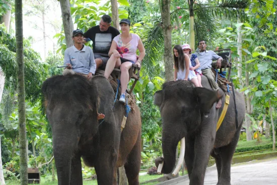 エレファントライド