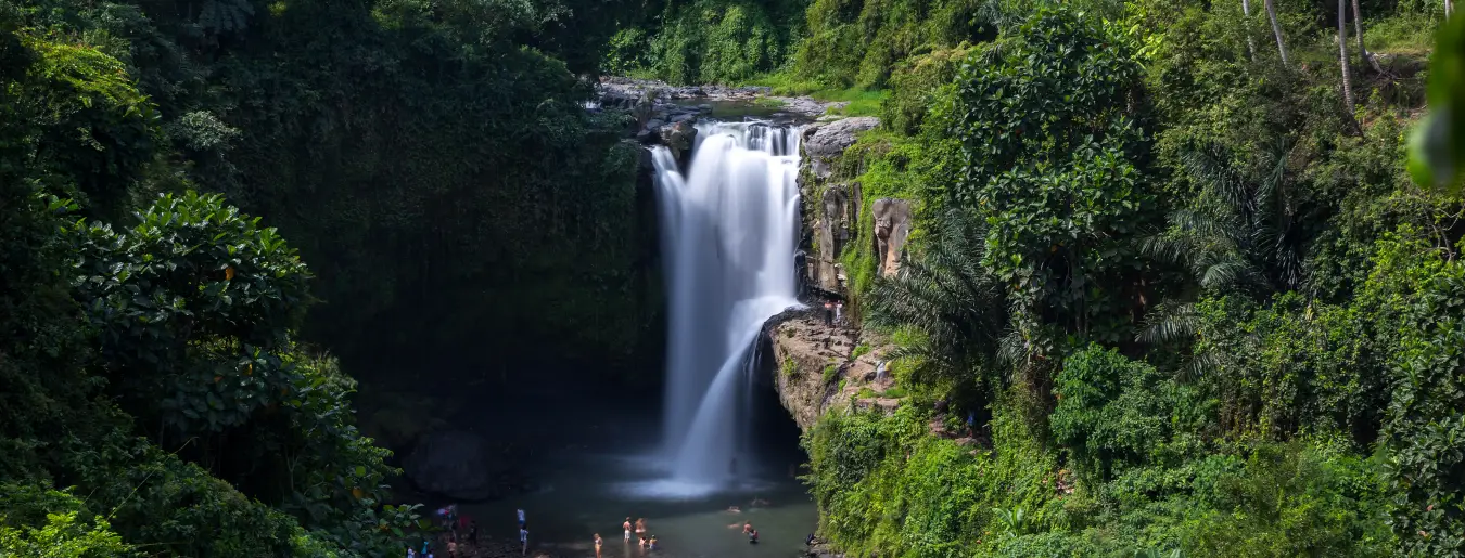 バリ島カーチャーター