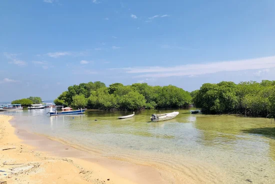 レンボンガン島　アクティヴィティツアー